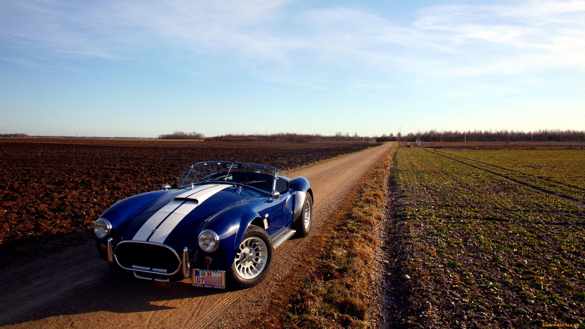 cobra, , ac, shelby, , 